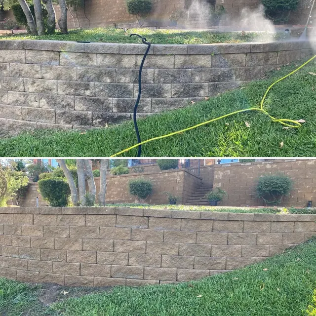 Handsome Lawn Service — customer photo 5