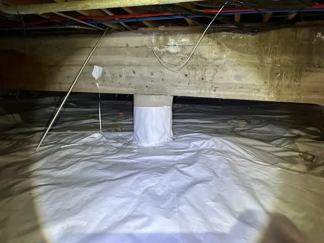 Absolute Radon Safety — photo from the business 3