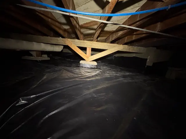 APEX Radon — customer photo 10