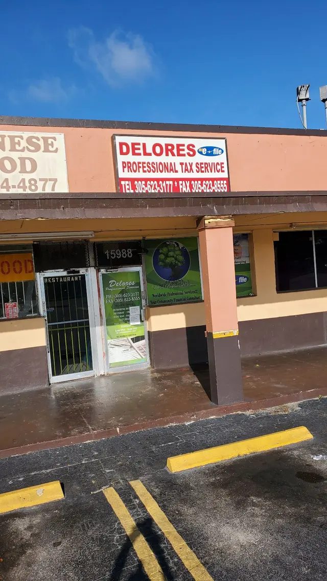 DELORES PROFESSIONAL TAX SERVICE — customer photo 2
