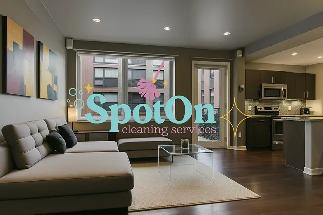 SpotOn Cleaning Services — photo from the business 1