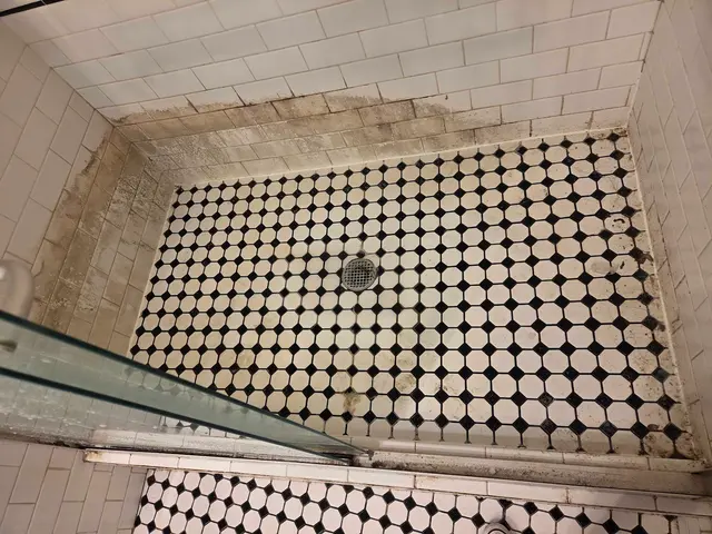 SpotOn Cleaning Services — photo from the business 5