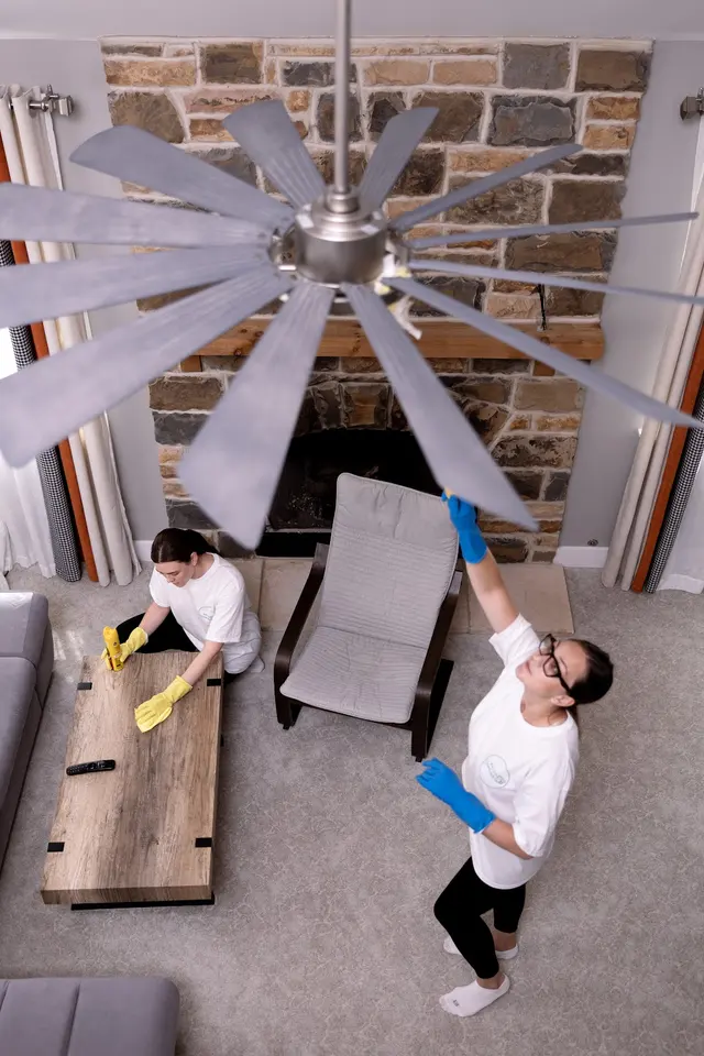 Raccoon Cleaning Services — photo from the business 3