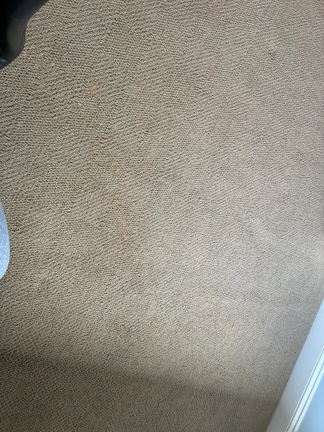 Customer photo of work by Premier Pro Cleaners, from LaVoris Lee's review
