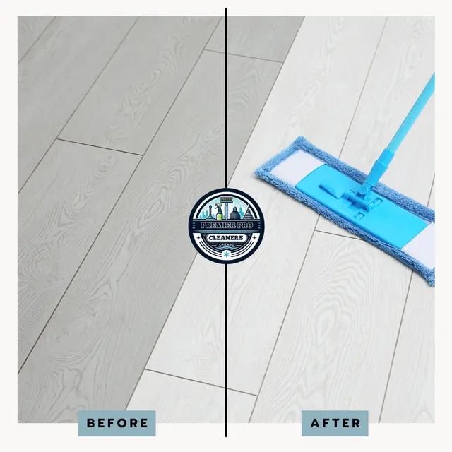 Premier Pro Cleaners — photo from the business 12