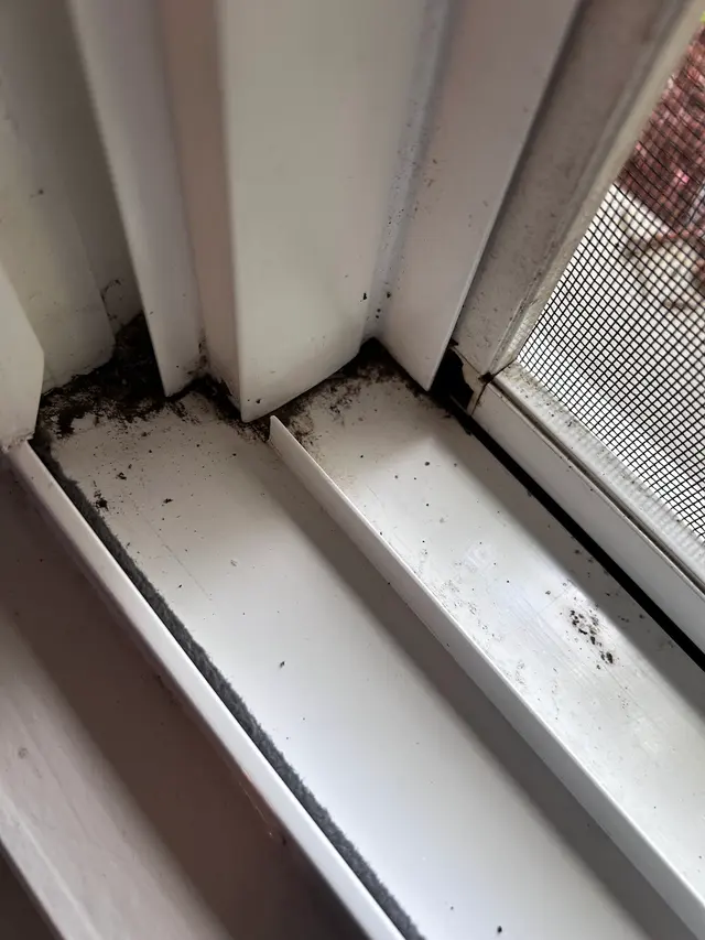 Customer photo of work by Queens of Clean, Inc., from K B's review