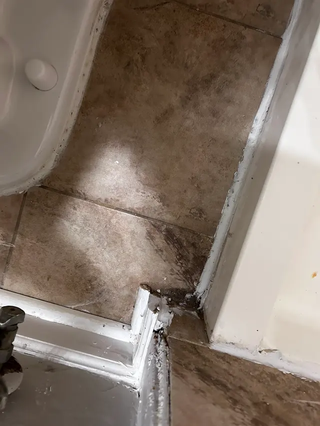 Customer photo of work by Queens of Clean, Inc., from K B's review