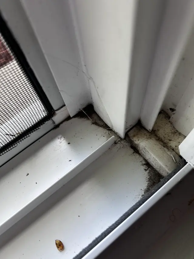 Customer photo of work by Queens of Clean, Inc., from K B's review