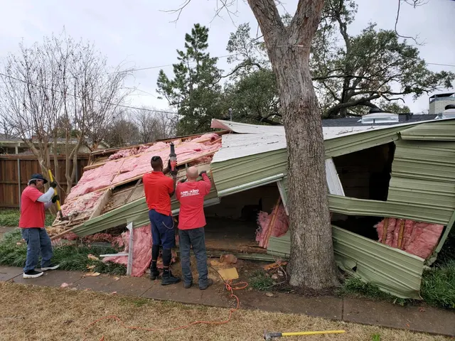 Junk King Dallas — photo from the business 9