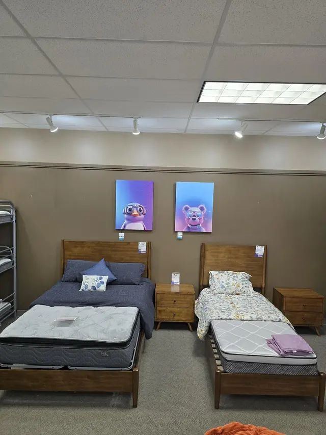 American Rental Home Furnishings — photo from the business 10