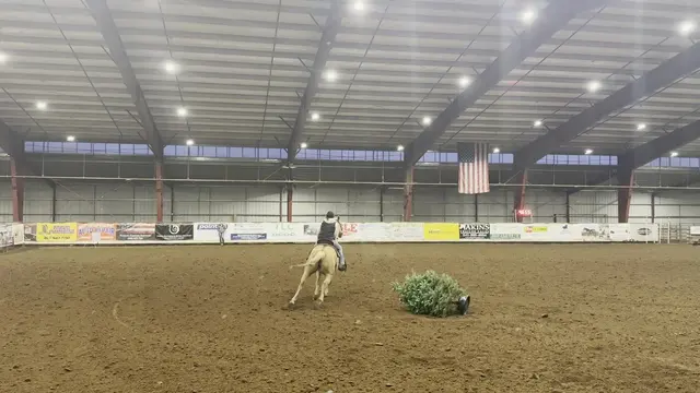 Customer photo of work by Clark County Saddle Club, from Donald Hillis's review