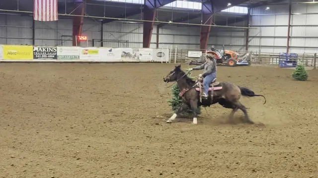 Clark County Saddle Club — customer photo 12