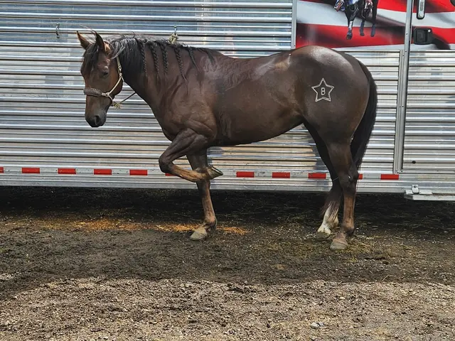 Clark County Saddle Club — customer photo 6