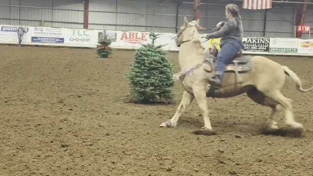 Customer photo of work by Clark County Saddle Club, from Donald Hillis's review
