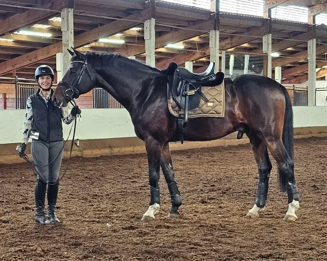Farmhill Equestrian Center — customer photo 3