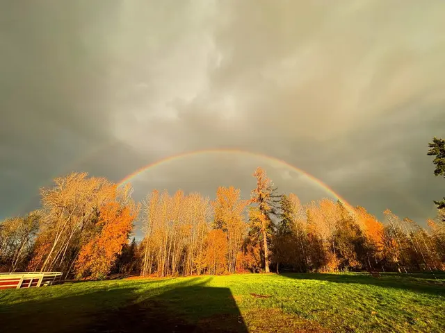 Farmhill Equestrian Center — photo from the business 7