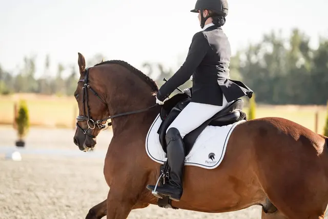 Farmhill Equestrian Center — photo from the business 2