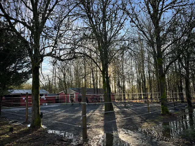 Farmhill Equestrian Center — photo from the business 12