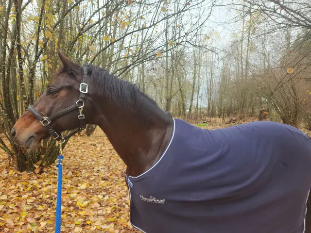 Customer photo of work by Farmhill Equestrian Center, from Janette Herrera's review