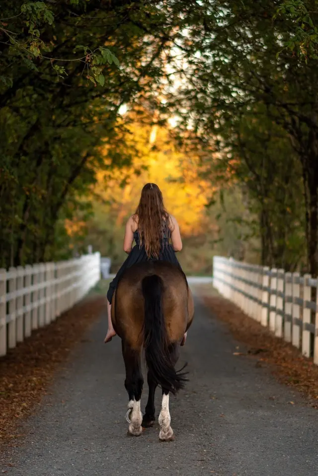 Farmhill Equestrian Center — photo from the business 11