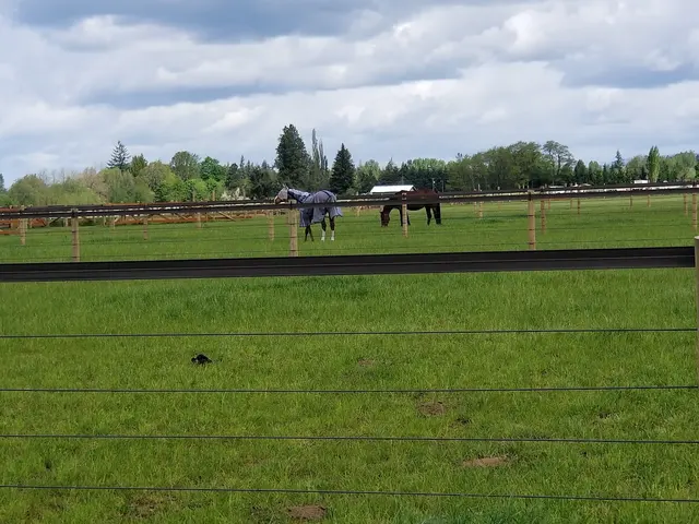 Heirloom Equestrian Center — customer photo 7