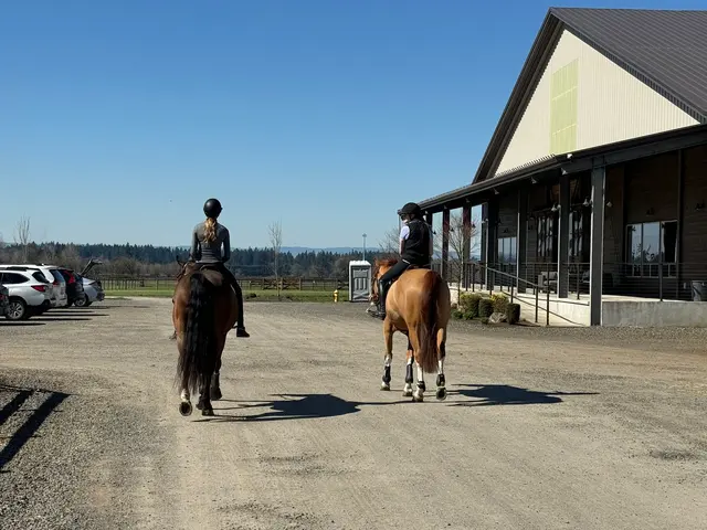 Heirloom Equestrian Center — customer photo 4