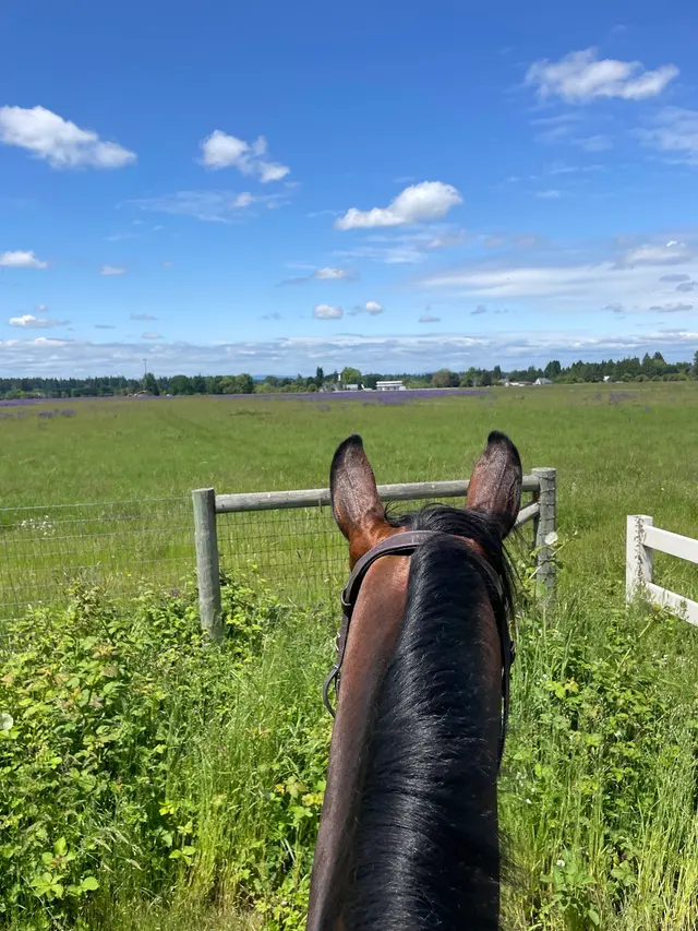 Heirloom Equestrian Center — customer photo 10