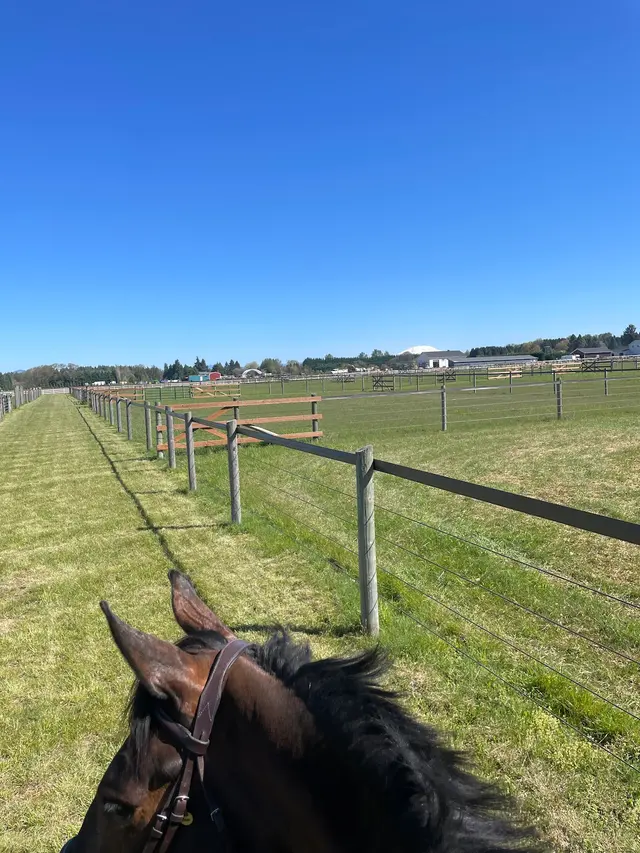 Heirloom Equestrian Center — customer photo 1