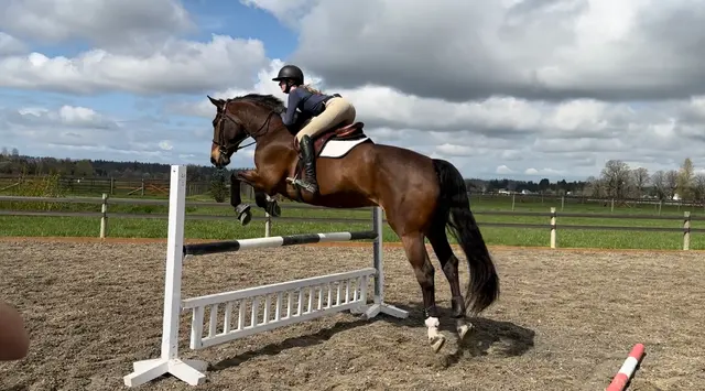 Heirloom Equestrian Center — customer photo 8