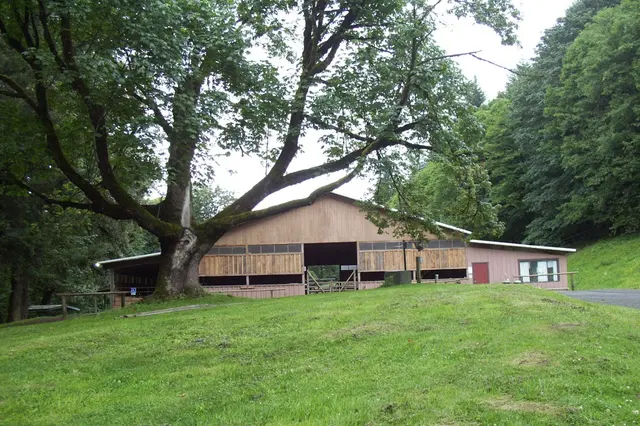 Royal Ridges Camps — photo from the business 1