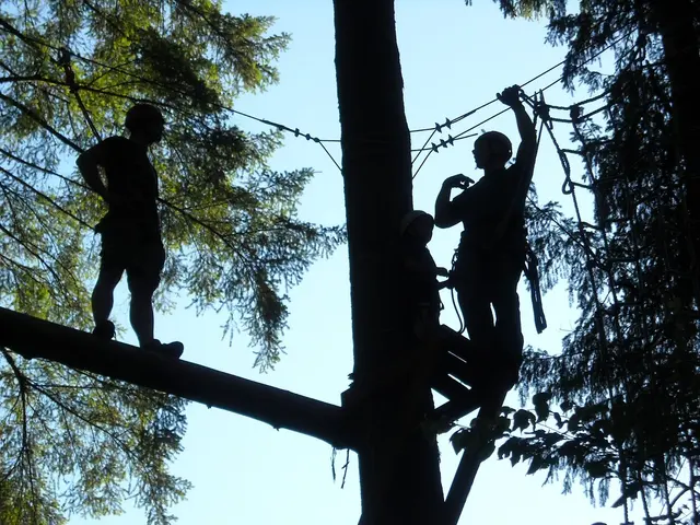 Royal Ridges Camps — photo from the business 7