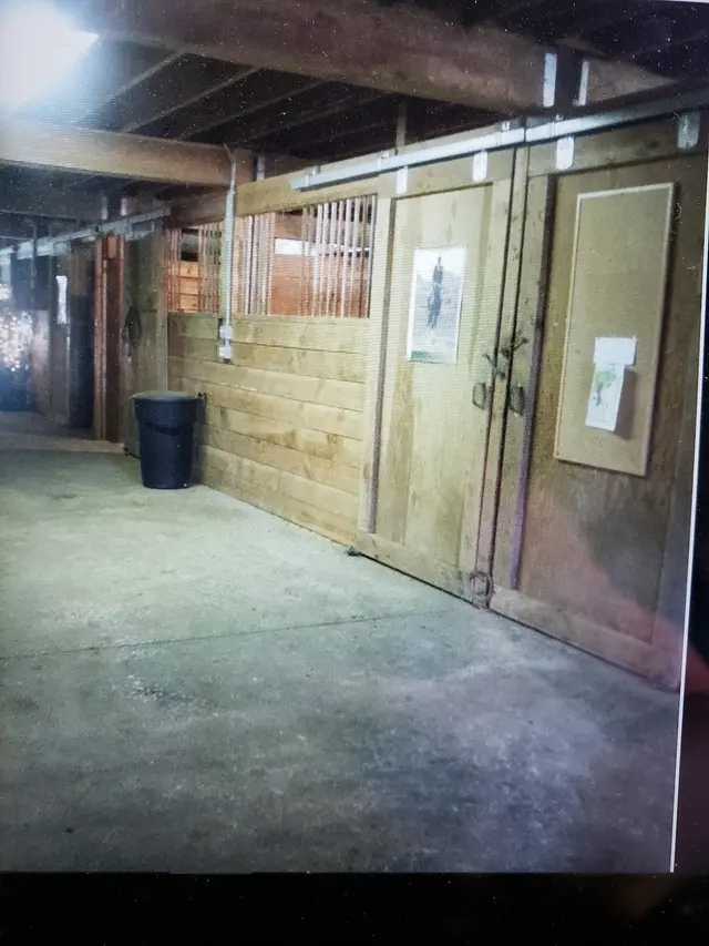 Bar UK River Ranch — photo from the business 8