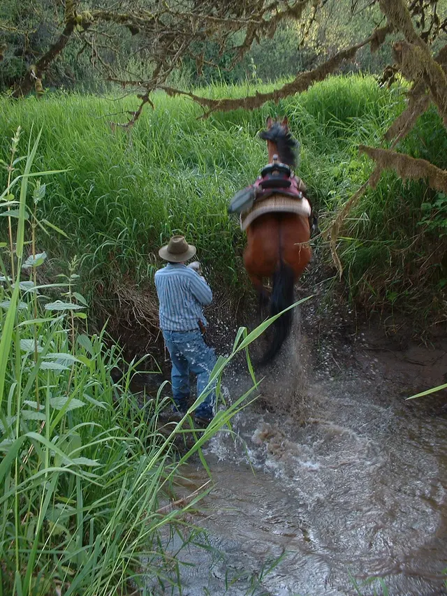 Bar UK River Ranch — photo from the business 11