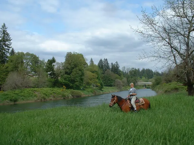 Bar UK River Ranch — photo from the business 5