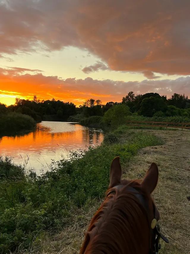 Bar UK River Ranch — photo from the business 3