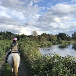 Bar UK River Ranch — photo from the business 1