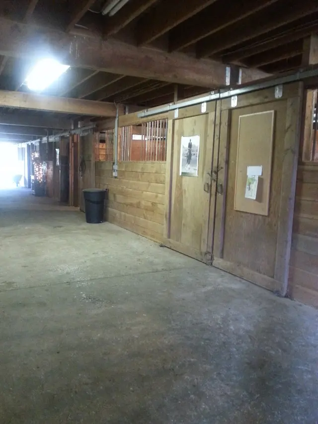 Bar UK River Ranch — photo from the business 2
