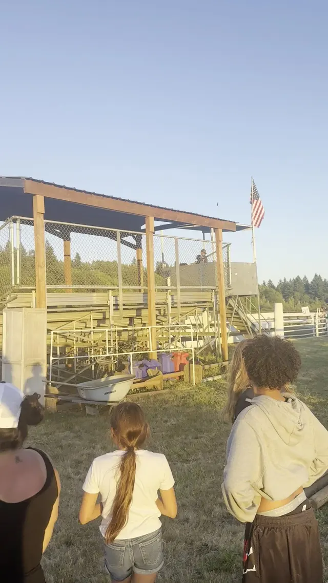 Customer photo of work by Silver Buckle Youth Equestrian Center, from Donald Hillis's review
