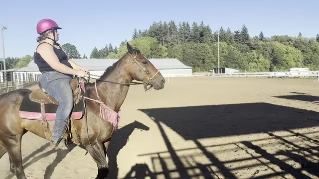 Customer photo of work by Silver Buckle Youth Equestrian Center, from Donald Hillis's review