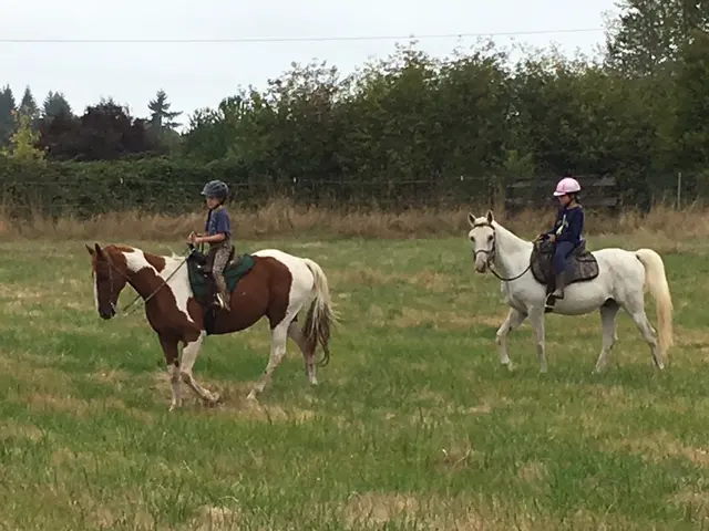 Silver Buckle Youth Equestrian Center — customer photo 4