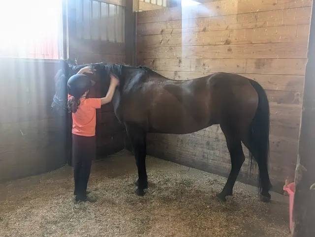 Silver Buckle Youth Equestrian Center — customer photo 7