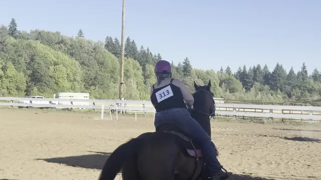 Customer photo of work by Silver Buckle Youth Equestrian Center, from Donald Hillis's review