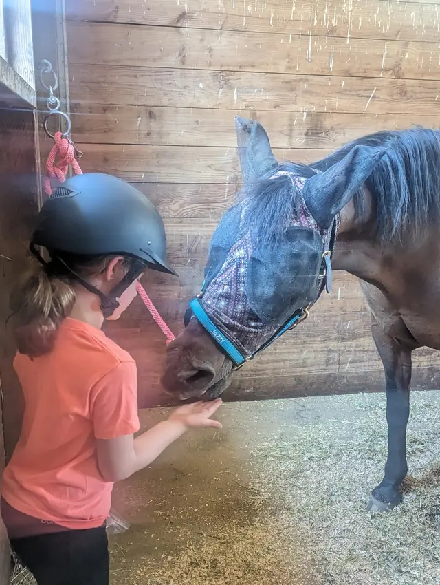 Silver Buckle Youth Equestrian Center — customer photo 10