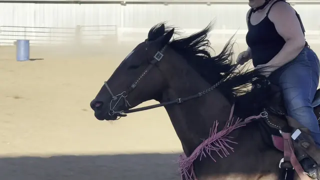 Customer photo of work by Silver Buckle Youth Equestrian Center, from Donald Hillis's review