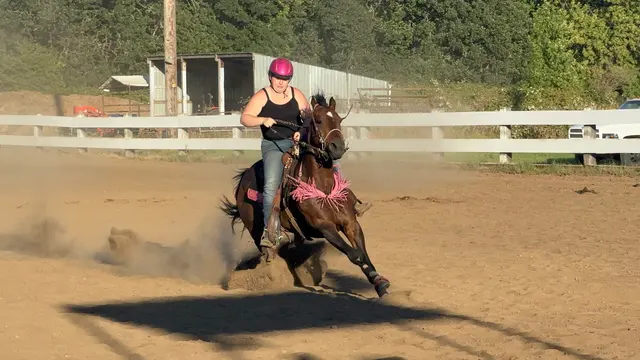 Customer photo of work by Silver Buckle Youth Equestrian Center, from Donald Hillis's review