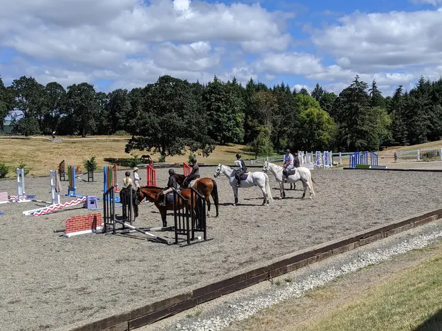 Emerson Equestrian — customer photo 11
