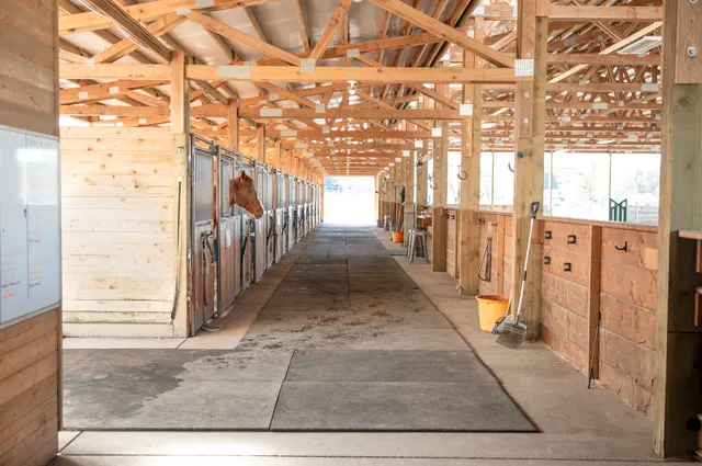Customer photo of work by Emerson Equestrian, from Jen Fowler's review