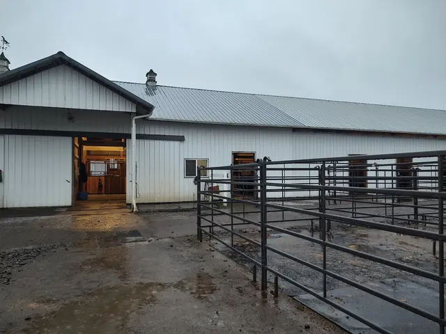 Customer photo of work by Emerson Equestrian, from William Case's review