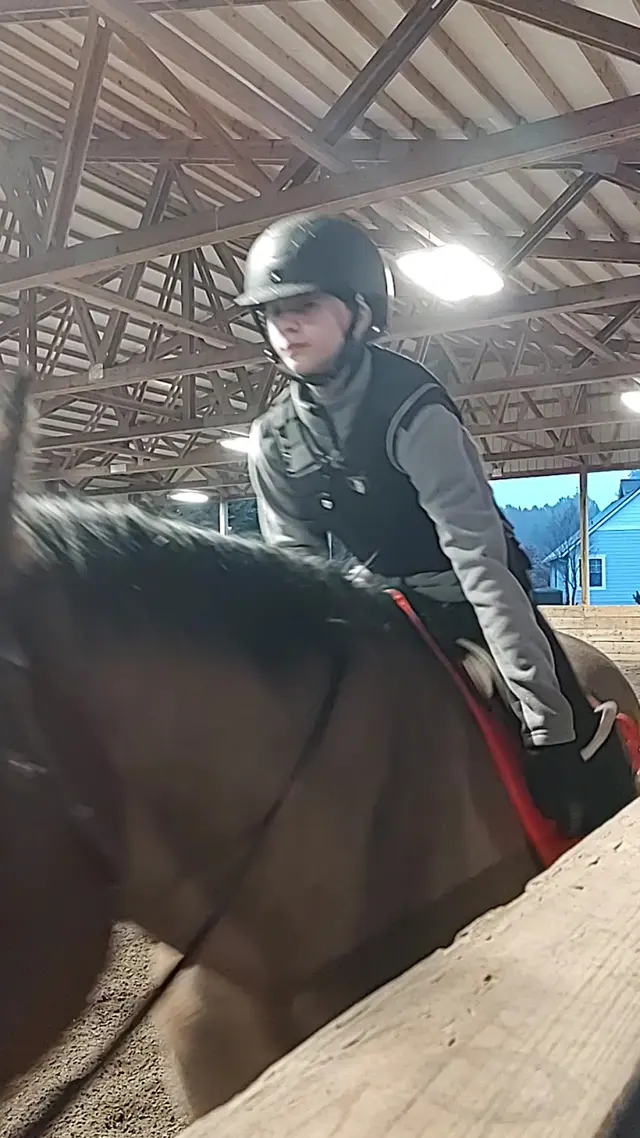 Customer photo of work by Emerson Equestrian, from William Case's review