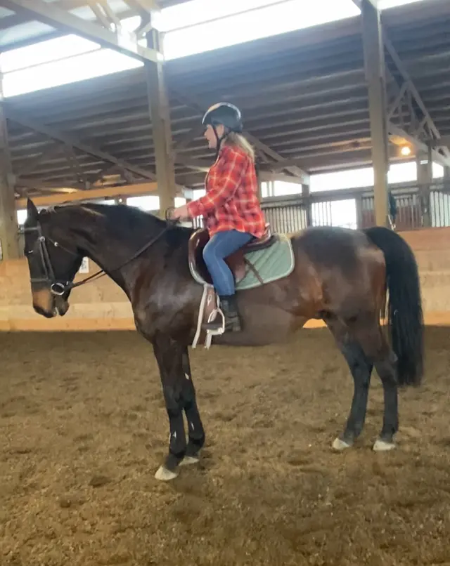 Emerson Equestrian — customer photo 5